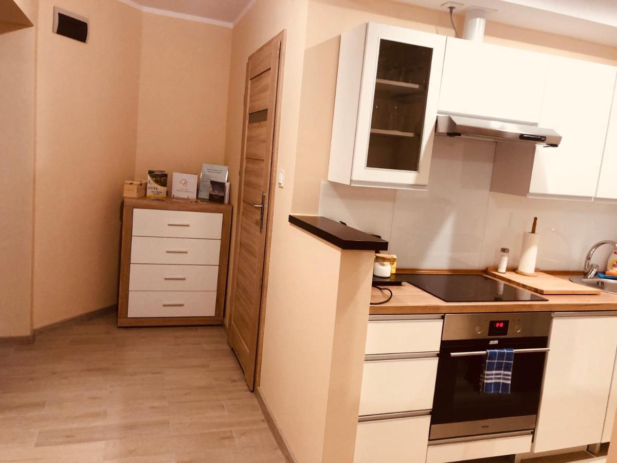 Apartamenty Alicja Dzierżoniów Dış mekan fotoğraf
